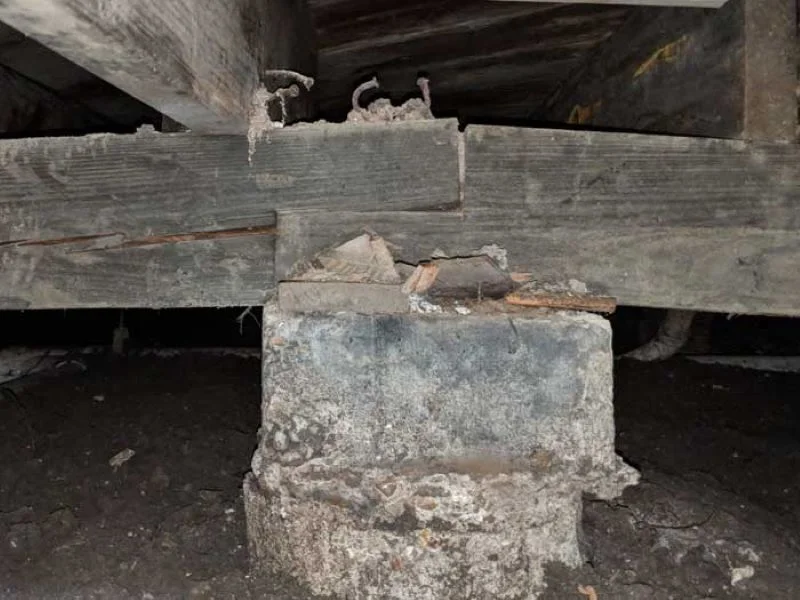 Pier And Beam Or Block And Base Foundation Muscles Hoals Al
